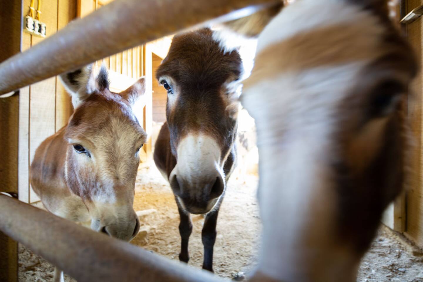 High View Farm Historic House in Fall Foliage